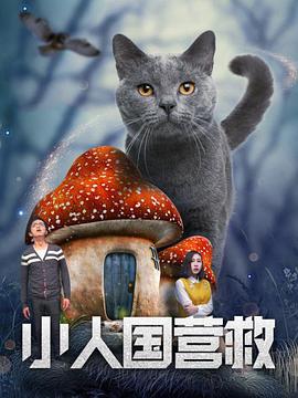 不用下载播放器的av