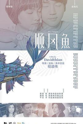 上海dns