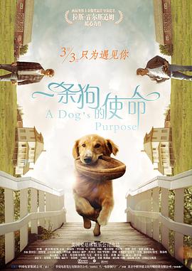 甜蜜的复仇2