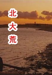 亚洲欧美日韩一区二区在线观看