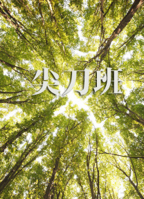 日韩高清一区二区
