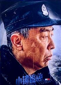 年轻的寡妇2