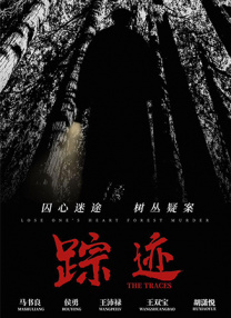 久久亚洲国产中v天仙www